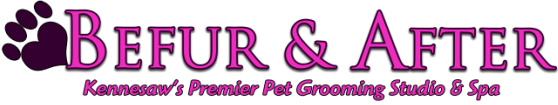 Befur & After Kennesaw's Premier Pet Grooming Studio